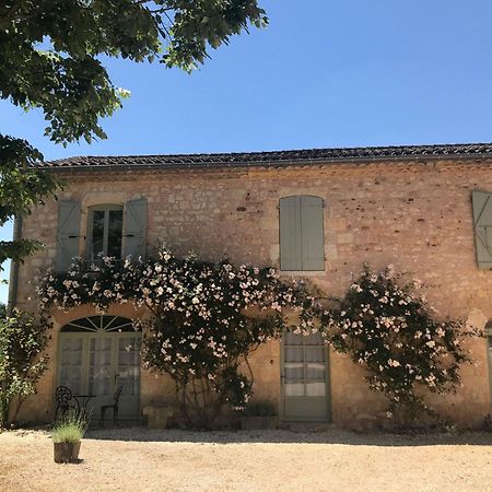 Domaine De La Durantie Duplex Vieux Chateau Castelnau-de-Montmiral Exterior foto
